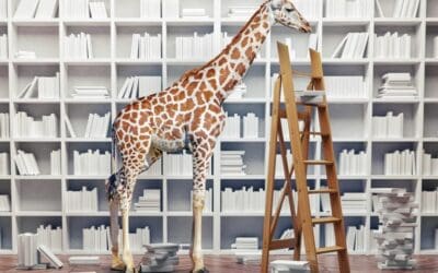 The Clutter Clean Out (Part 2)