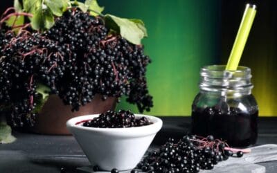 Are you taking the right supplements for Fall and Winter?